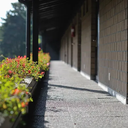 Sommerau فندق 3*